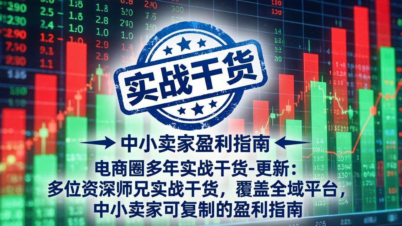 电商圈多年实战干货-更新4月27：多位资深师兄实战干货/覆盖全域平台，中小卖家可复制的盈利指南-源创文化-轻创终点站