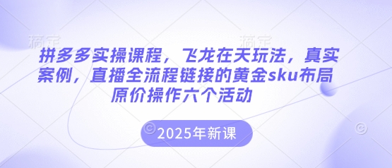 拼多多实操课程，飞龙在天玩法，真实案例，直播全流程链接的黄金sku布局原价操作六个活动-源创文化-轻创终点站