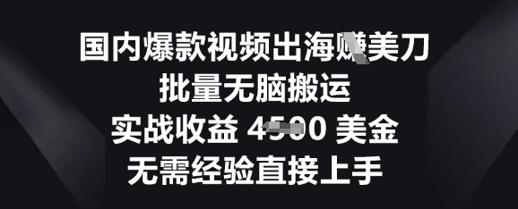 国内爆款视频出海挣美刀，批量无脑搬运，实战收益4.5k，无需经验直接上手-源创文化-轻创终点站