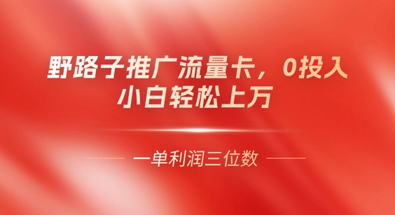 0门槛推广流量卡，一单收益上百，0投入，小白月入过W-源创文化-轻创终点站