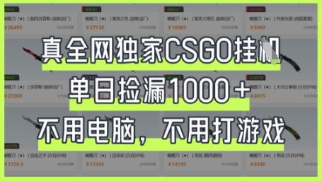 真全网独家CSGO挂G，单日捡漏1k+【揭秘】-源创文化-轻创终点站