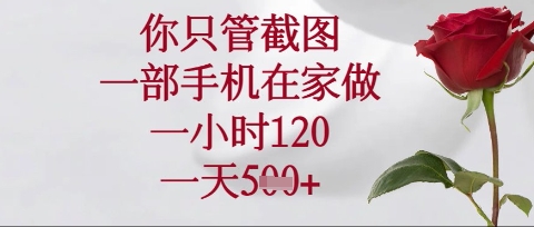 你只管截图，一部手机在家操作，一小时120.一天5张【揭秘】-源创文化-轻创终点站